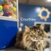 Courtney photo 5