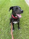 Rye (In Foster) photo 4