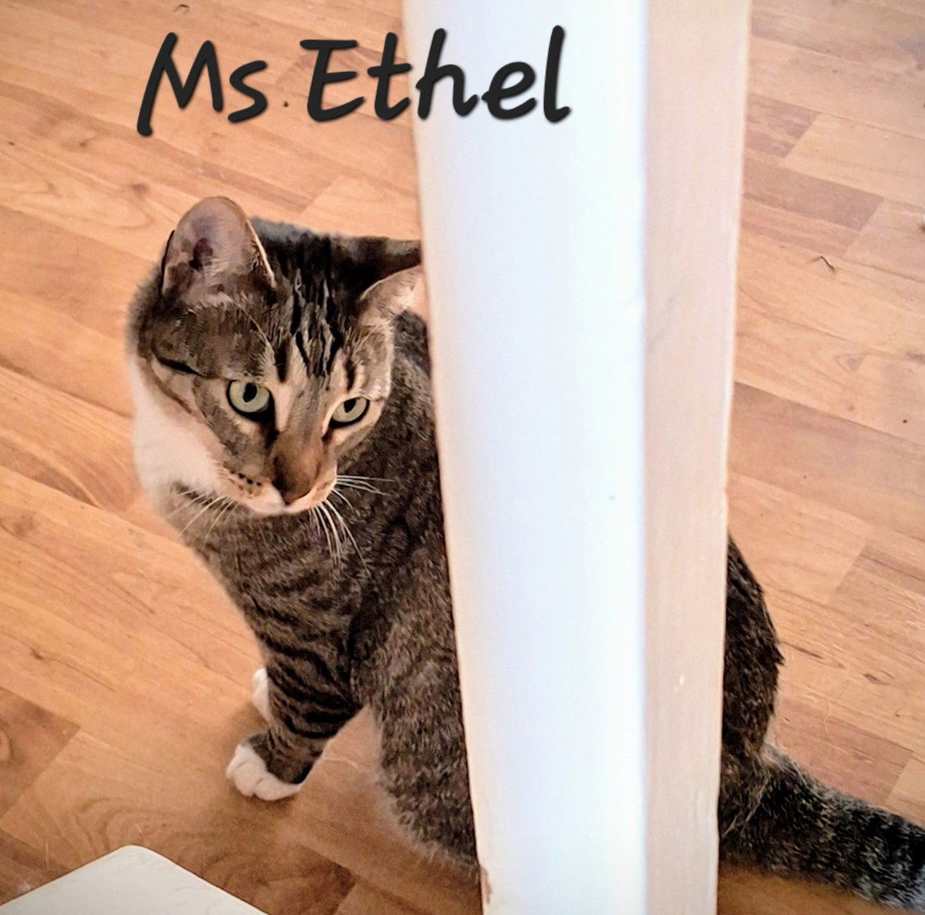 Ms Ethel #Low-Maintenance