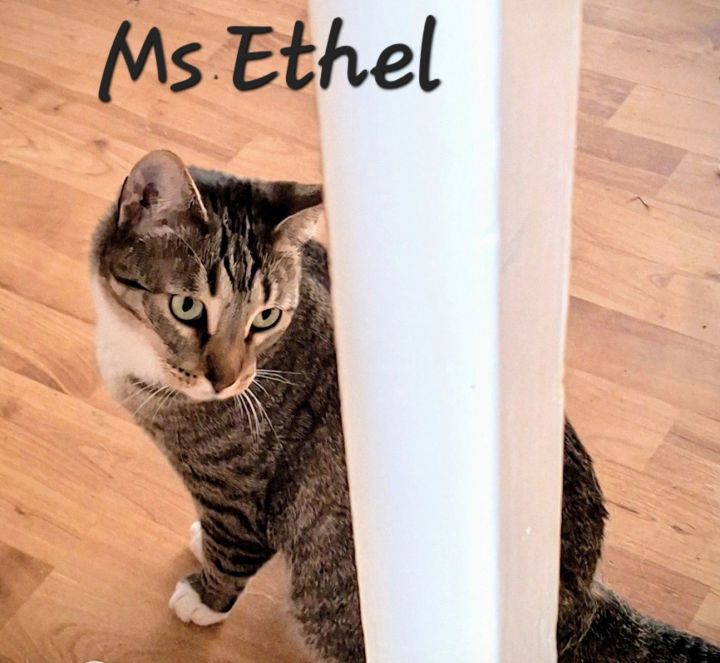 Ms Ethel #low-maintenance 2