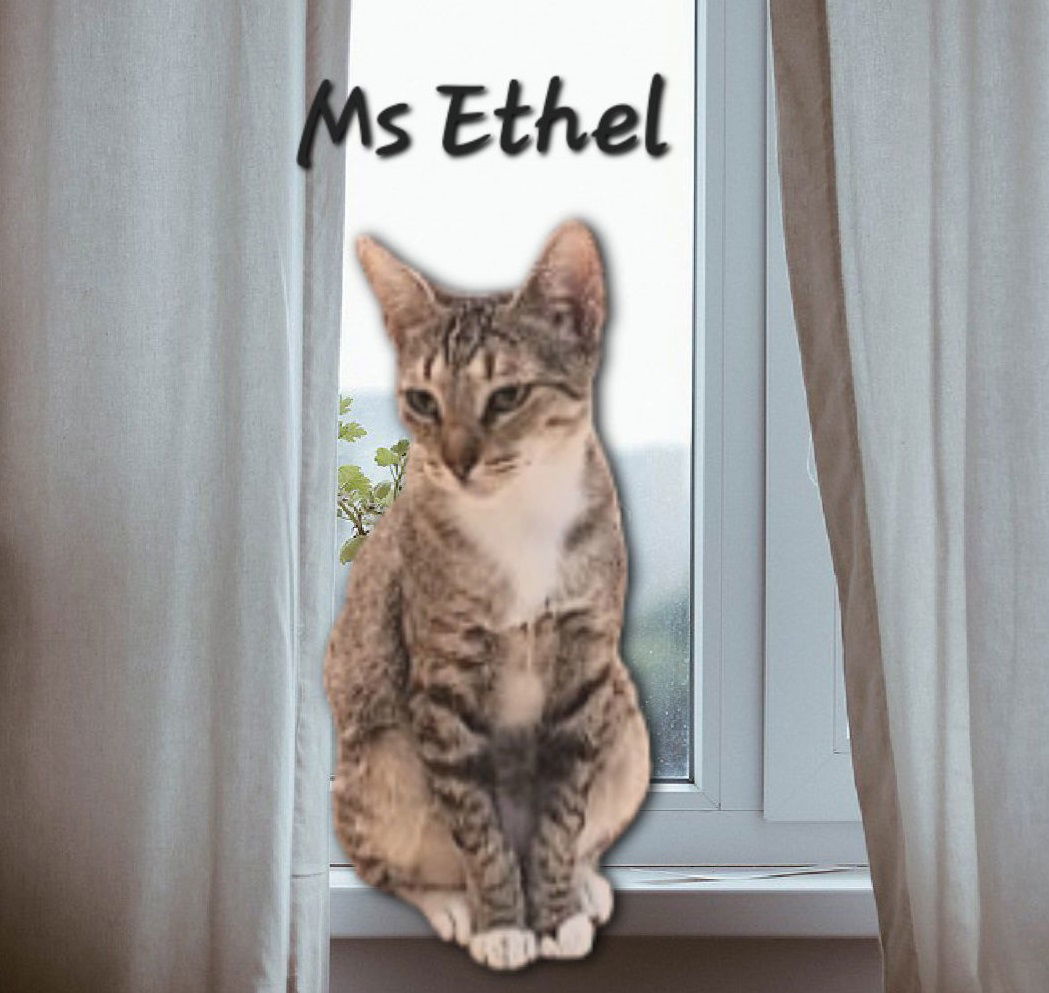 Ms Ethel #Low-Maintenance