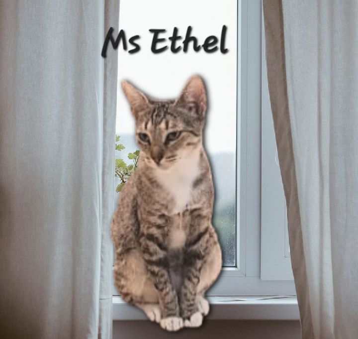 Ms Ethel #low-maintenance 5