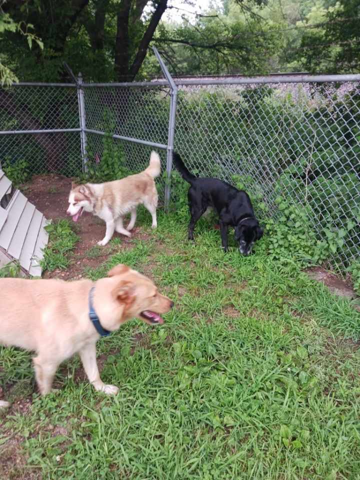 Daisy lab 4