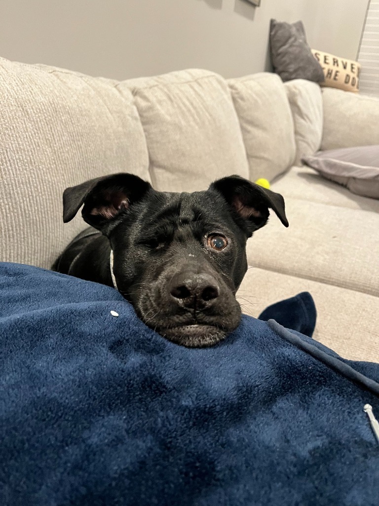 Mimi