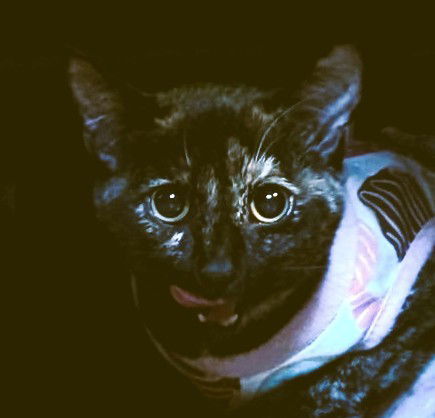 Luna Lovegood