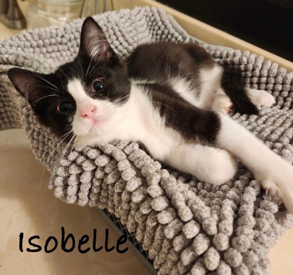 Isobelle