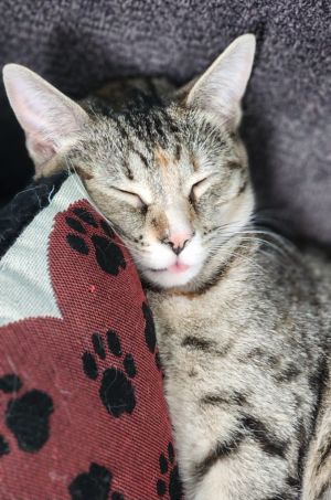 Wynona, Young Female unknown