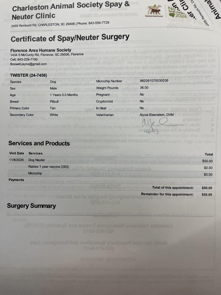 TWISTER, an adoptable Mixed Breed in Florence, SC, 29506 | Photo Image 4