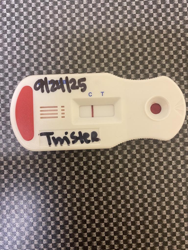 TWISTER, an adoptable Mixed Breed in Florence, SC, 29506 | Photo Image 6