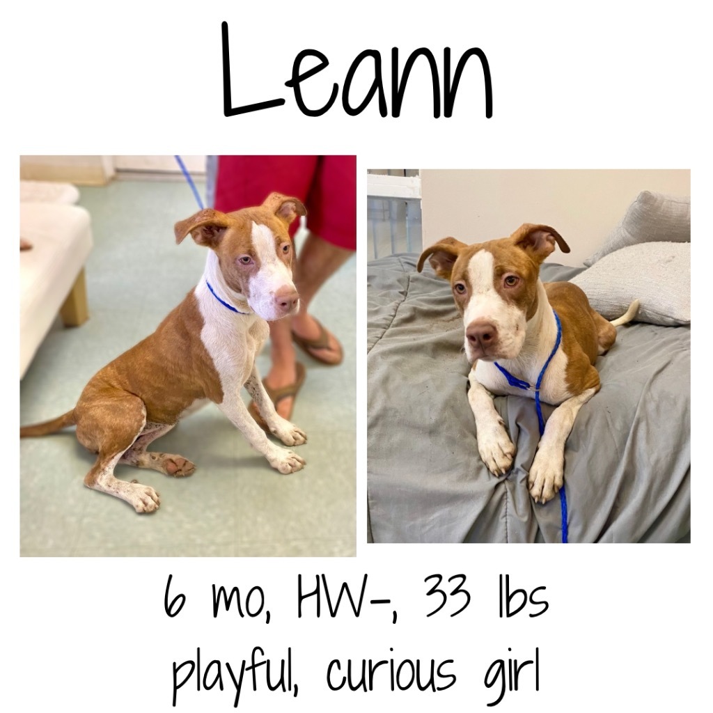 LeAnn