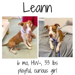 LeAnn, Young Female unknown