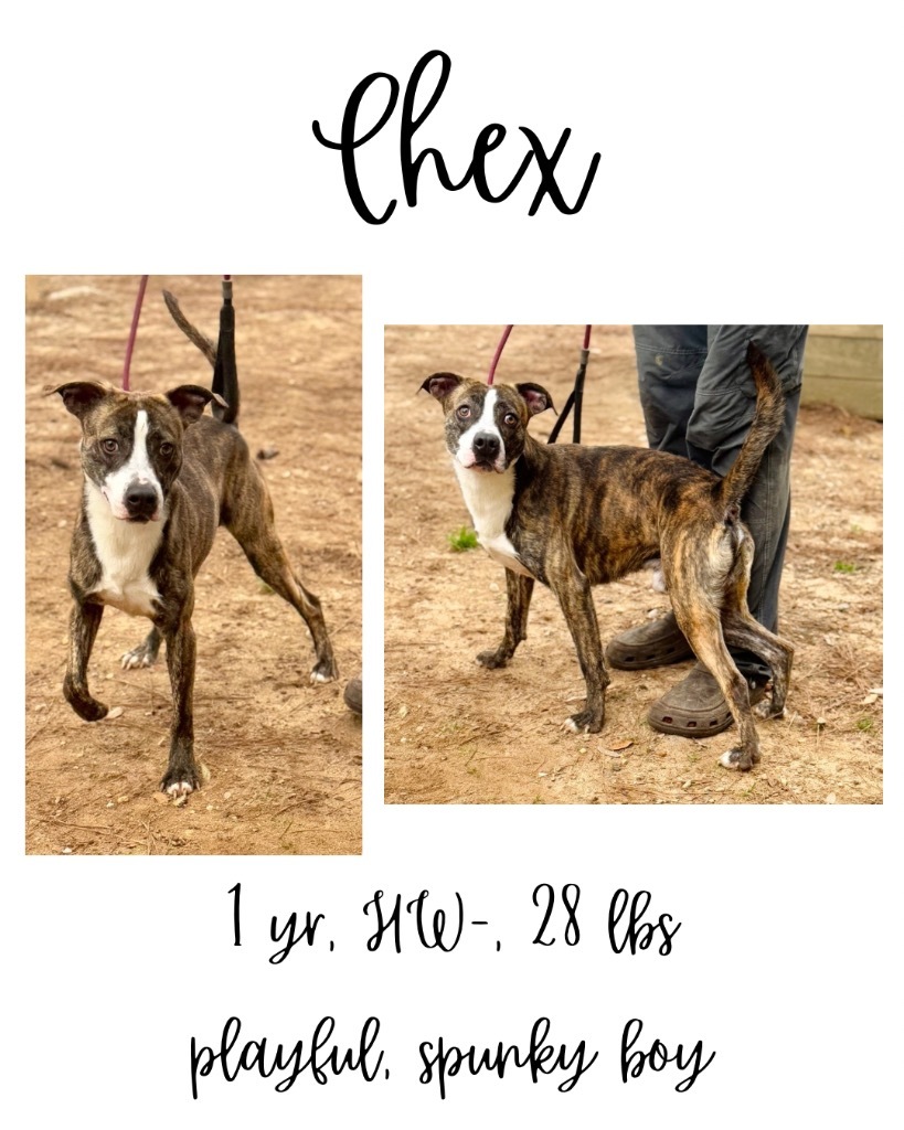 Chex