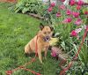 Seren Sadie photo 2