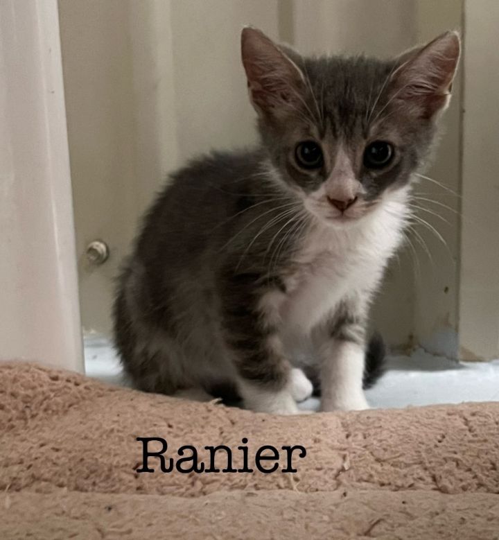 Rainer 1