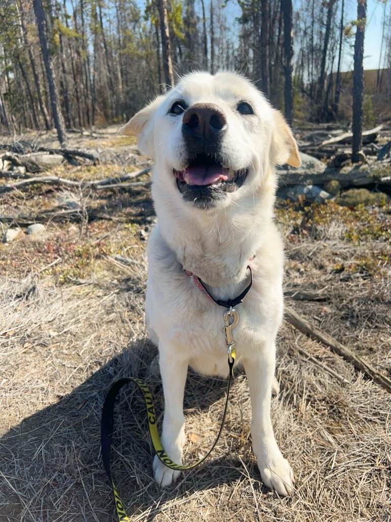 Chloe