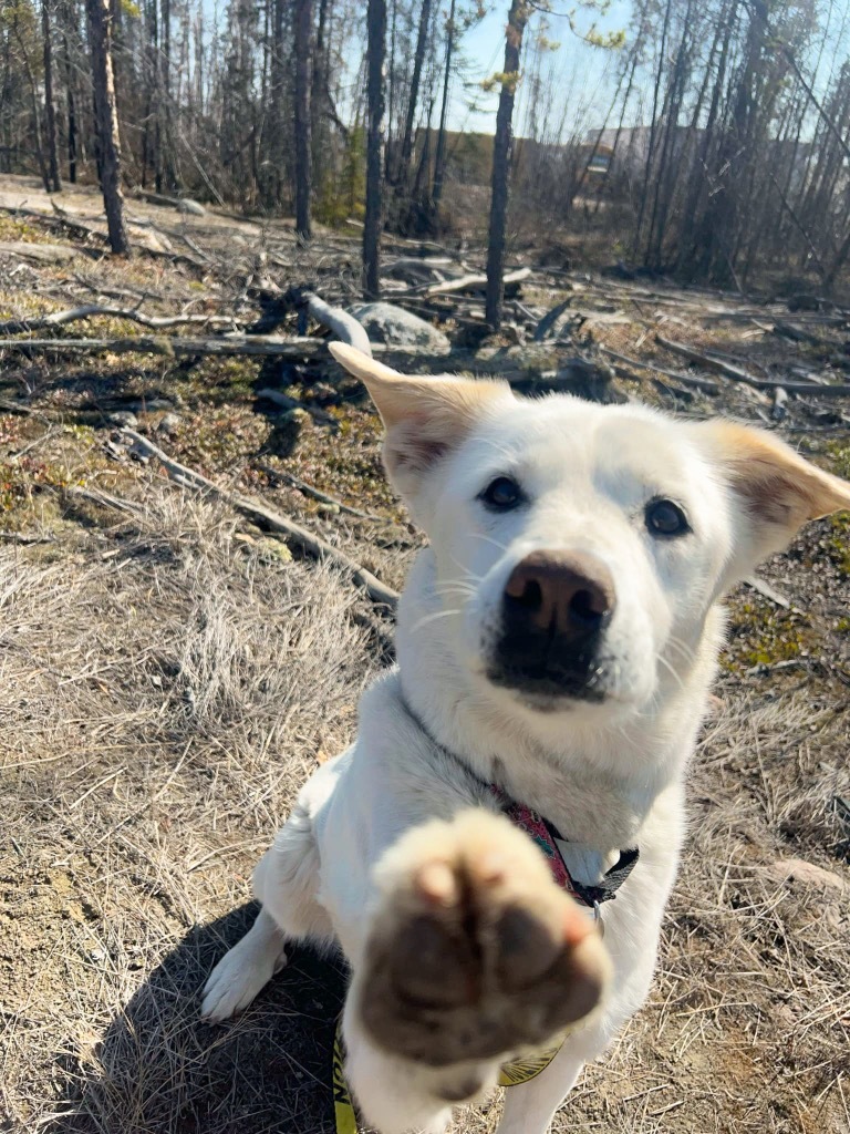 Chloe