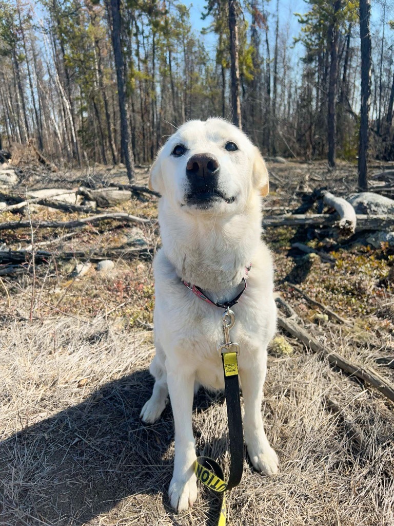 Chloe
