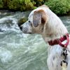 Wrangler photo 3