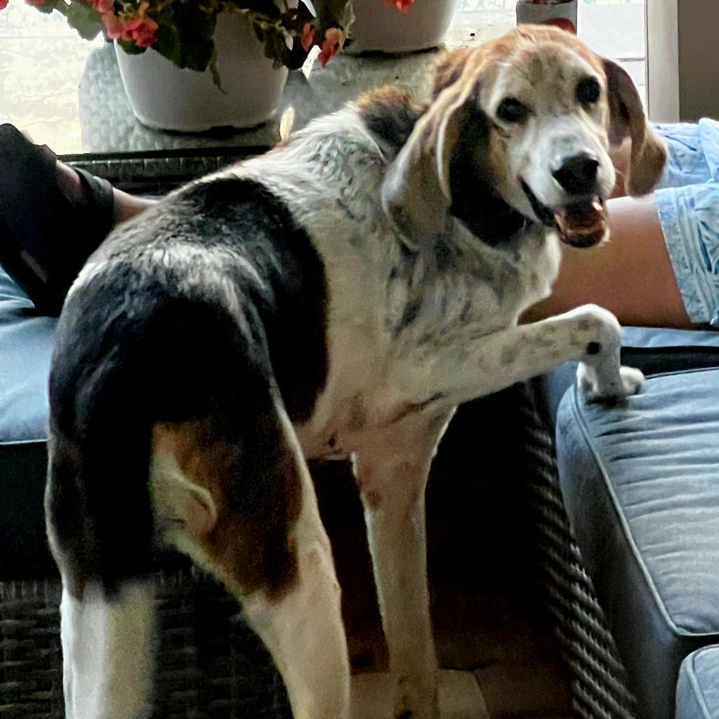 Alexander aka Hartsman