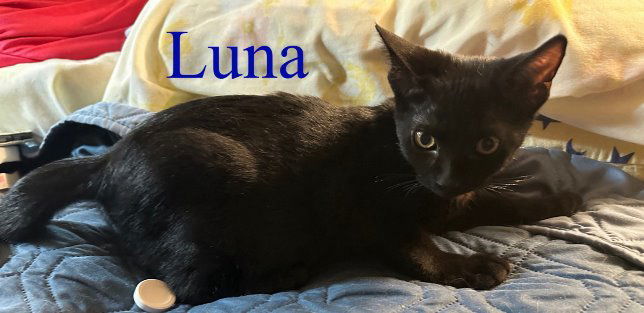 Luna