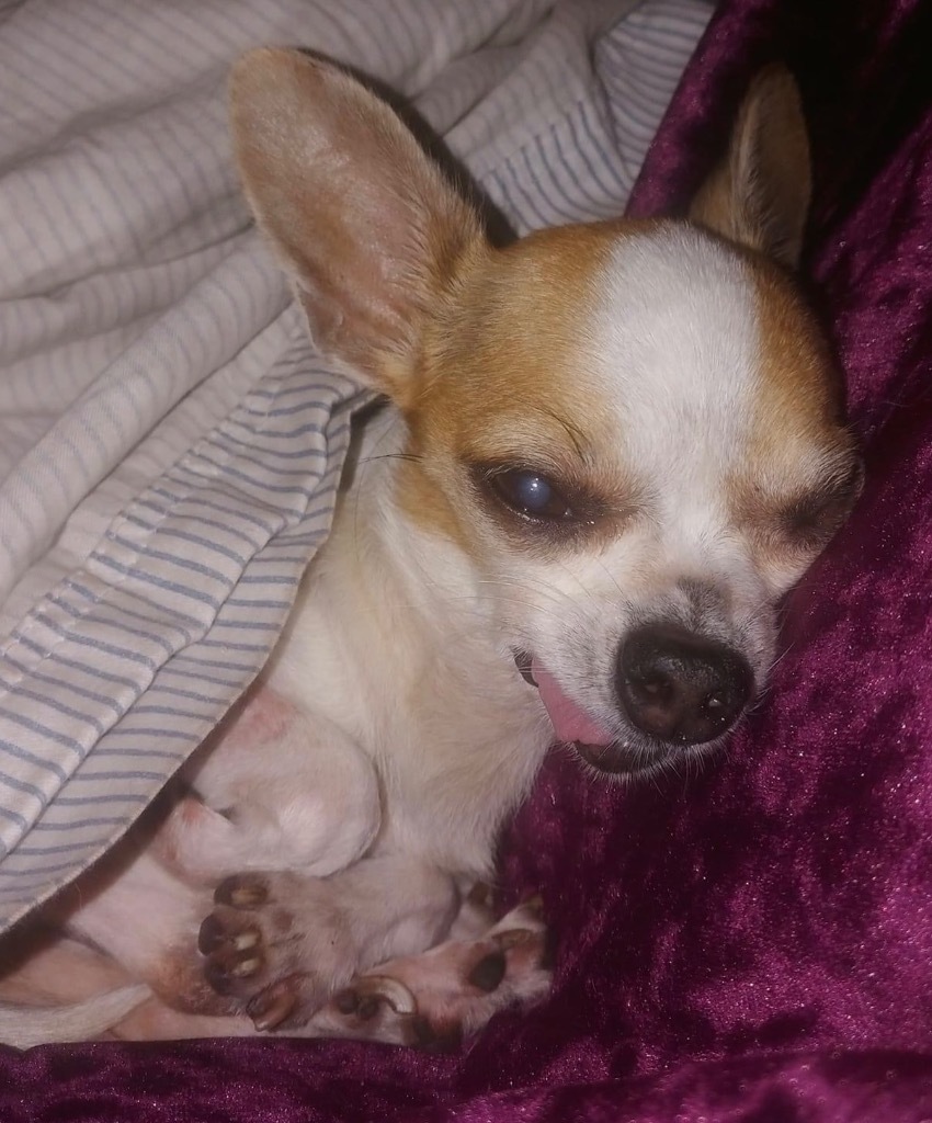 Lucy