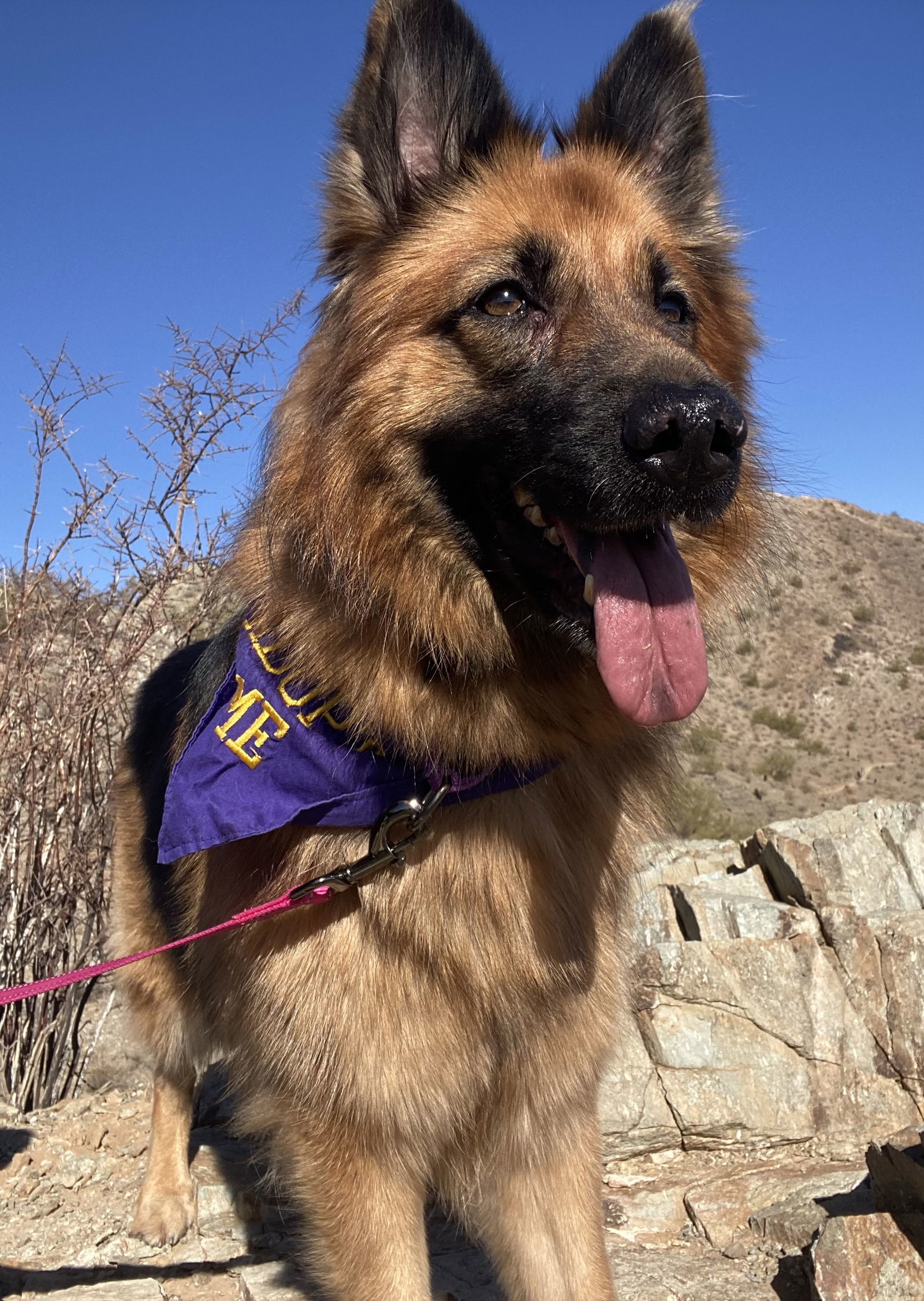Gia