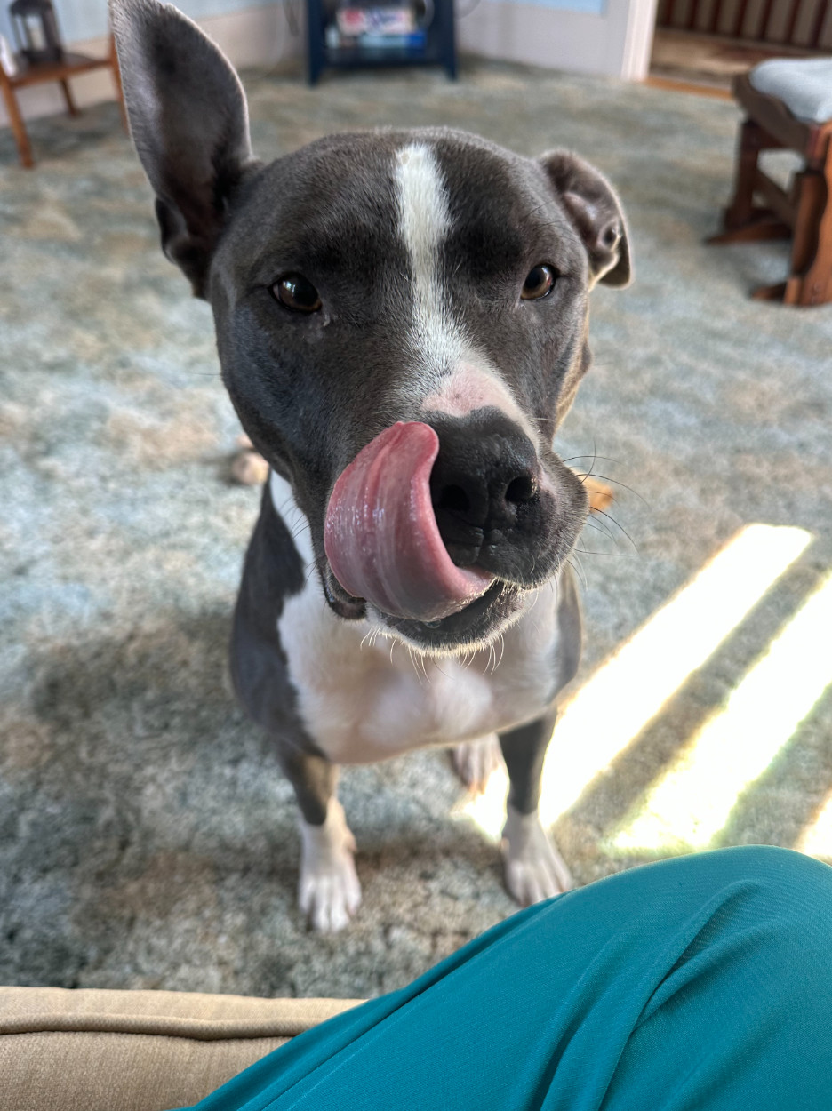 Bruno