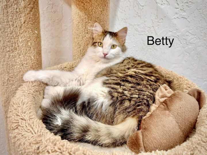 Betty 1