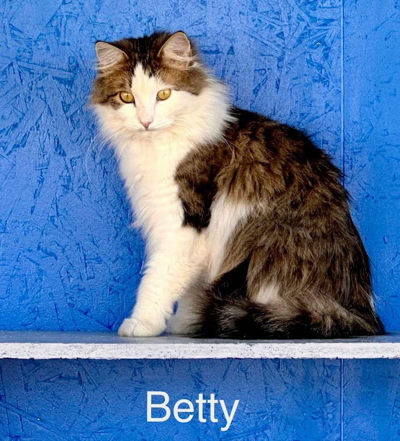 Betty