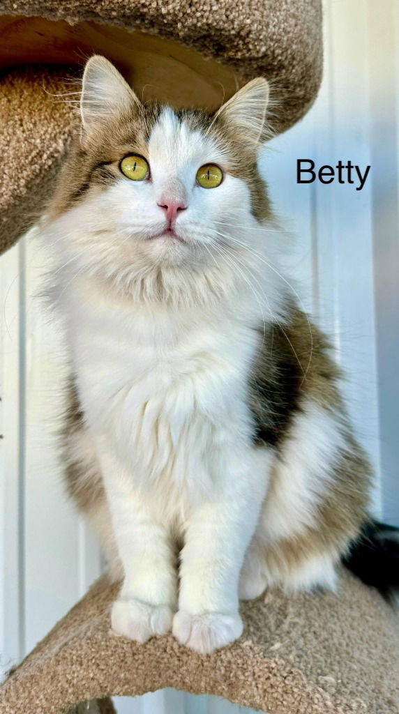 Betty