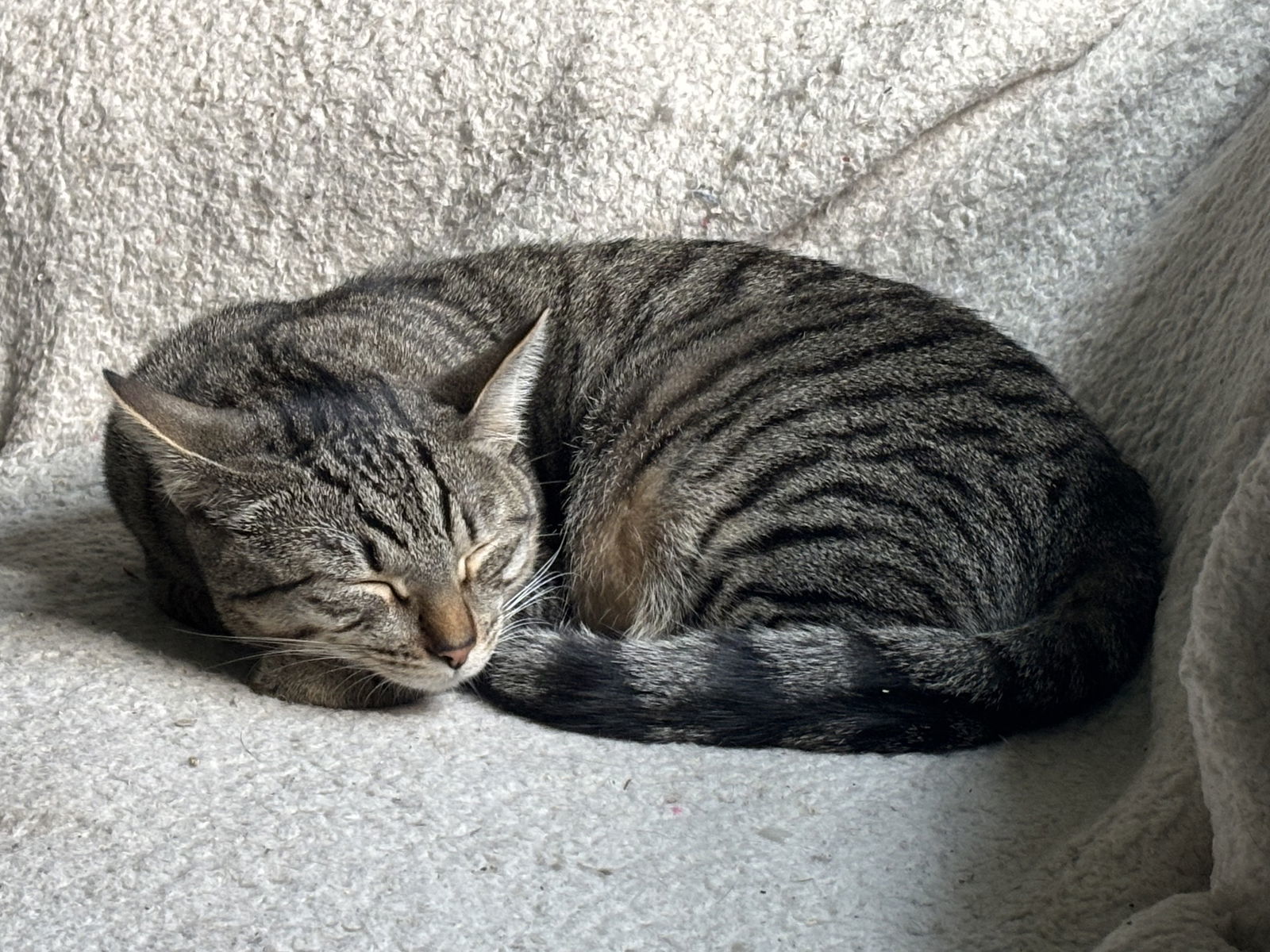 Luxa