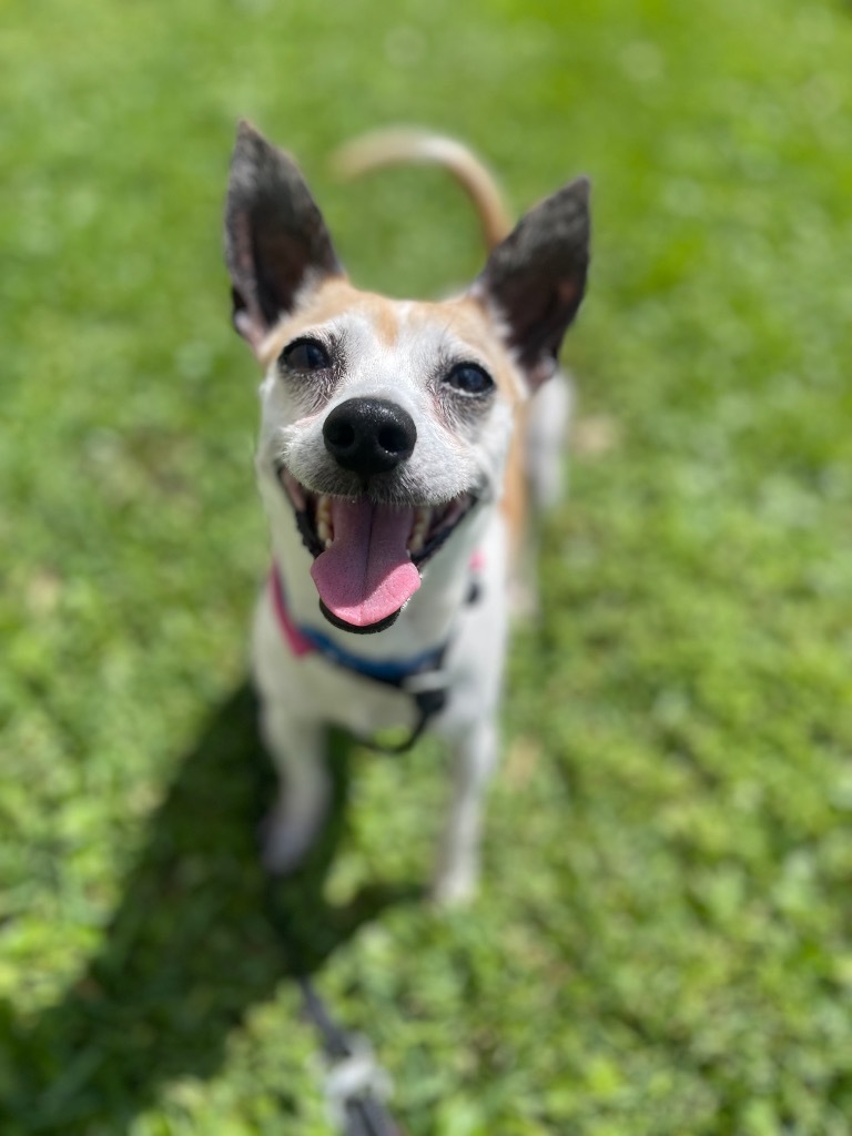 Macaroni Bob (In Foster)