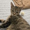 Molly photo 2