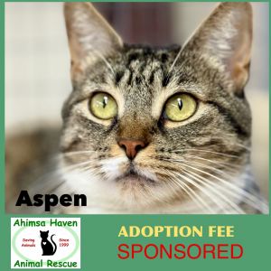 Aspen