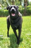 Coby photo 3