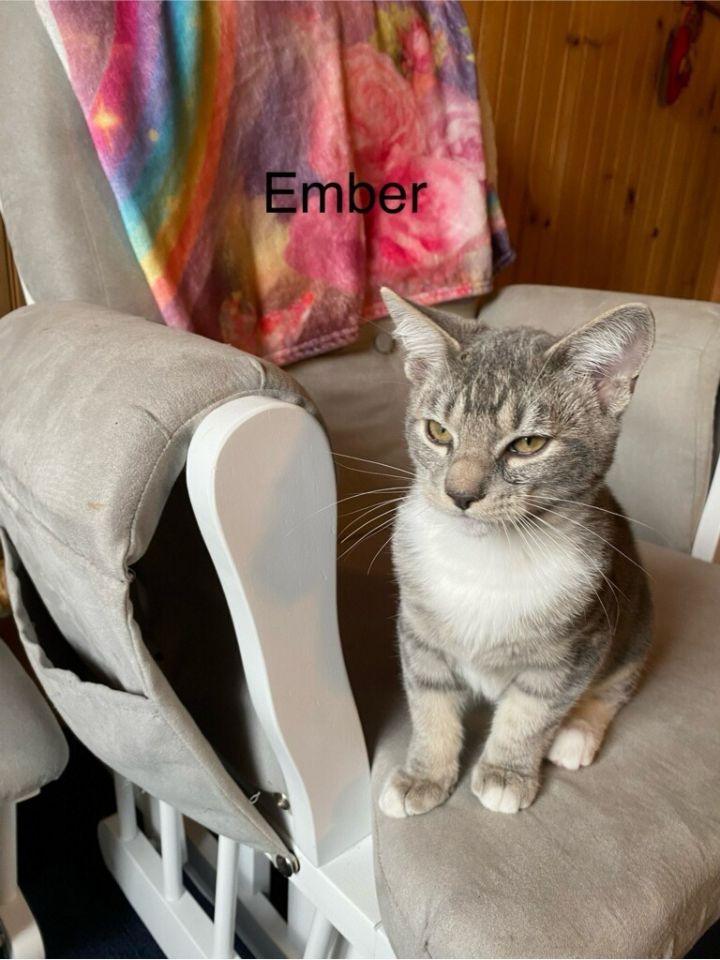 Ember 3