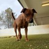 Hunter 8861 photo 2