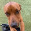 Hunter 8861 photo 3