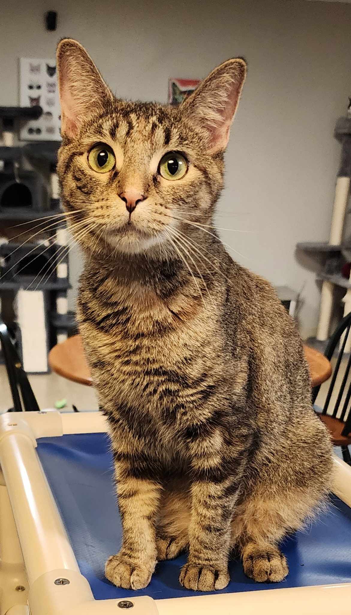 Sugar