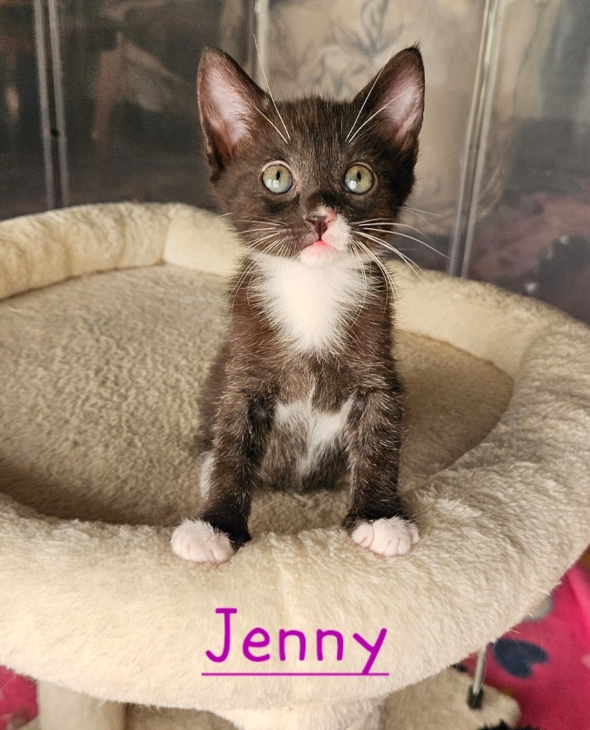 Jenny