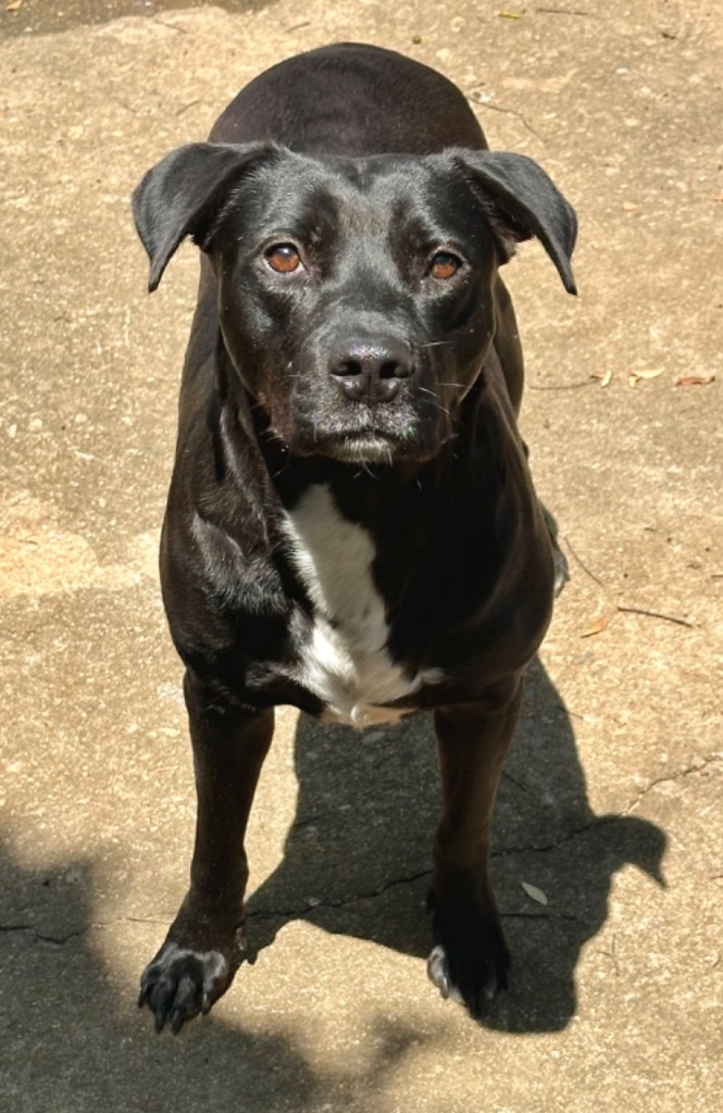 Mia