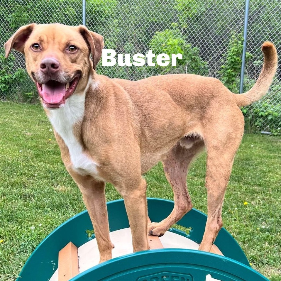 Buster 240414