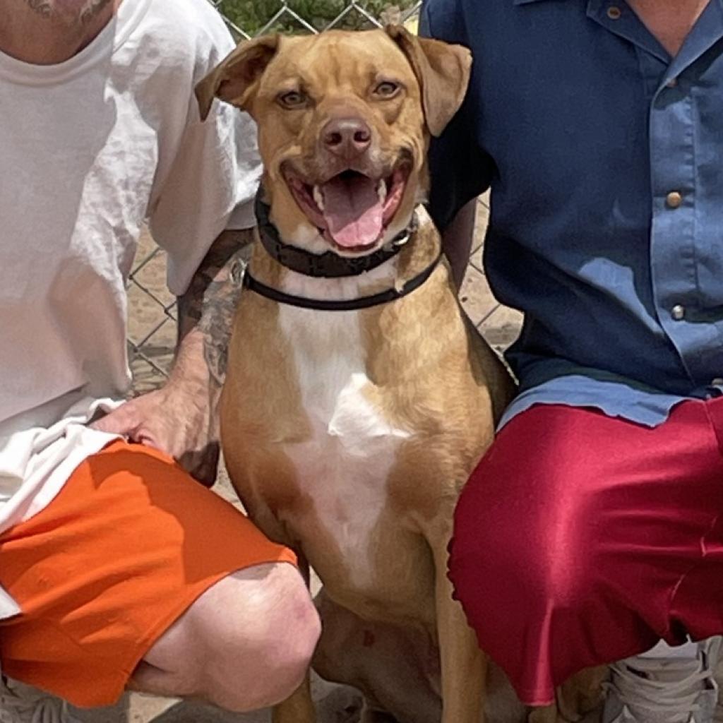Buster 240414