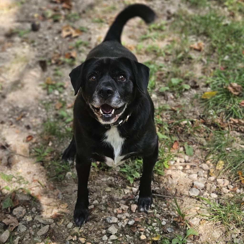 Bailey