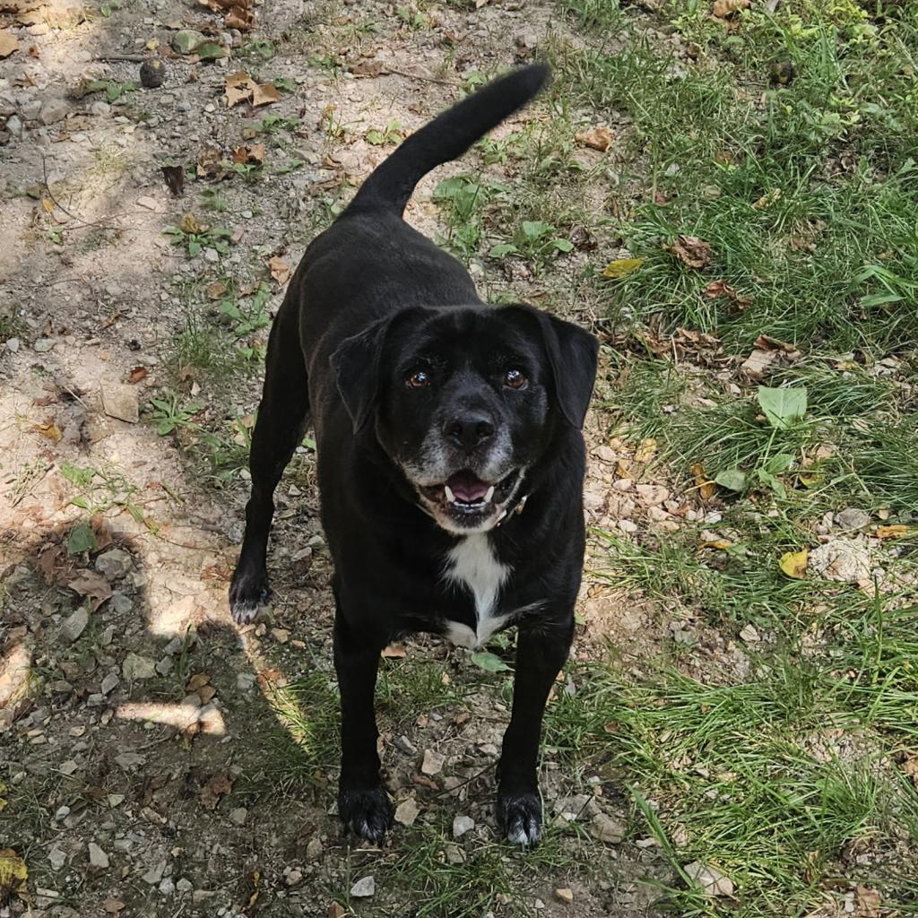 Bailey