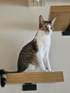 Shiloh photo 5