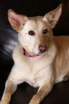 Cammie Bella photo 3