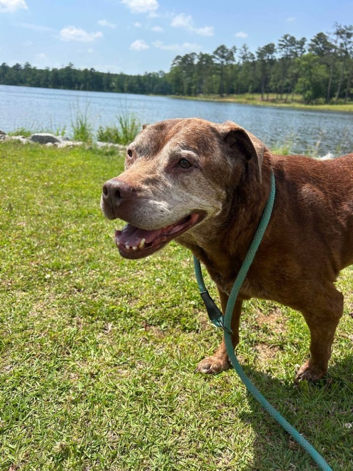 Francine (Senior) 1