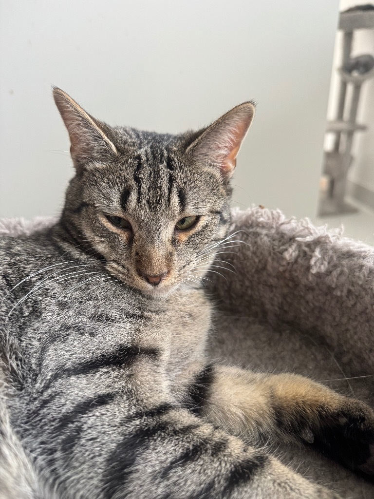 Ezra