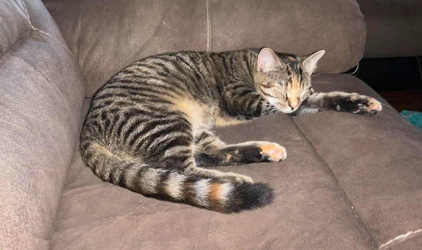 Kiara